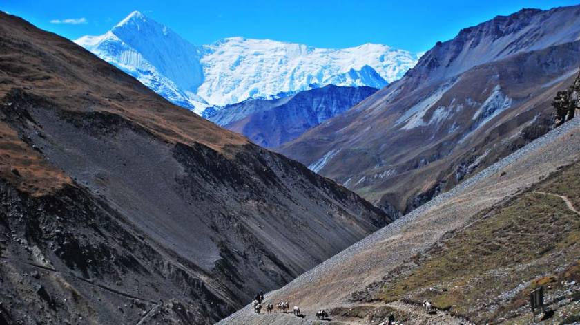 Enjoy the barren beauty of landscapes (On the way to Thorang La Pass)