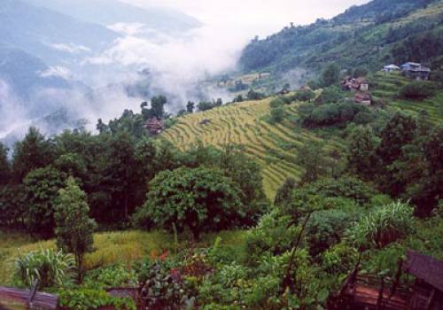 Makalu Trekking