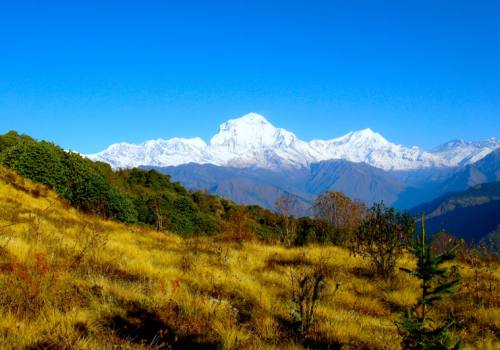 Nepal