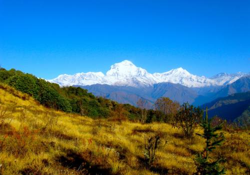 Hiking and Trekking