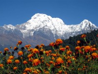 Mount Annapurna 