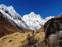 Annapurna Base Camp Trekking Trails