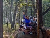 Elephant Safari