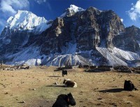 Kanchenjunga Circuit Trekking  