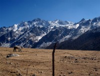 Kyanjin Gompa