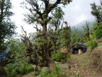 Landscapes around Pikey Peak