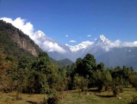 Poon Hill Trekking