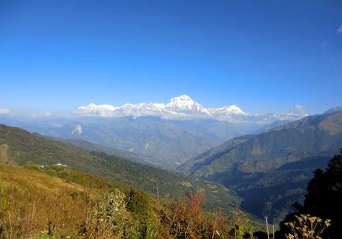 Dhaulagiri Eco Community Trekking