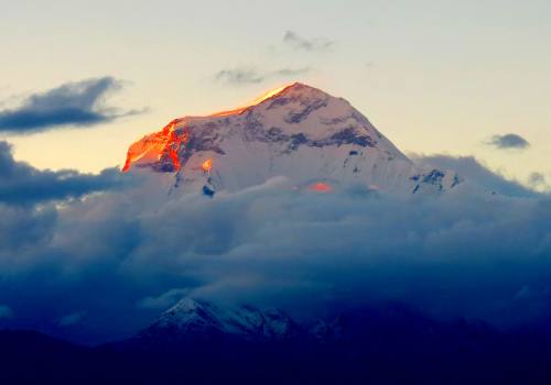 Golden rays on the top of world seventh highest Mt Dhaulagiri  