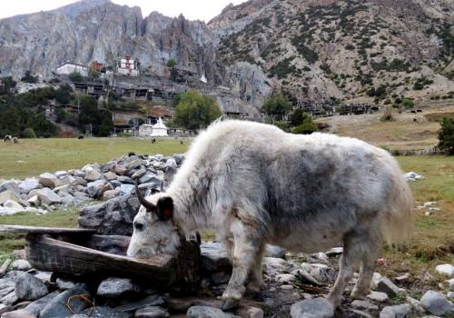 Naar Phu Valley Trekking