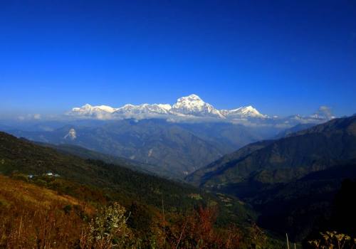 Majestic Dhaulagiri Range 