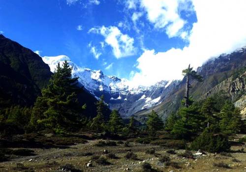 Walk through diverse landscapes amid beautiful Annapurnas